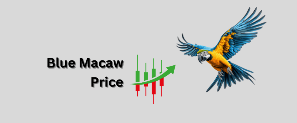 Blue-Macaw-Price