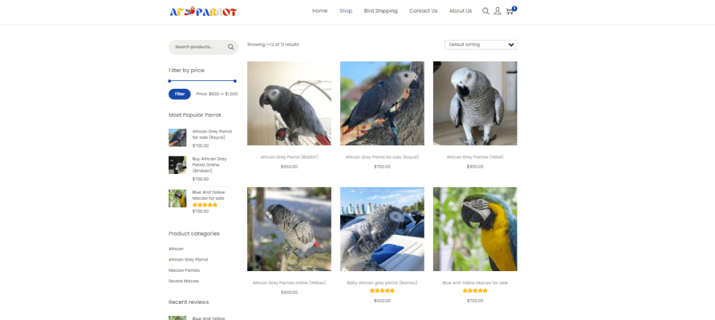 Af-Grey-Parrot-store