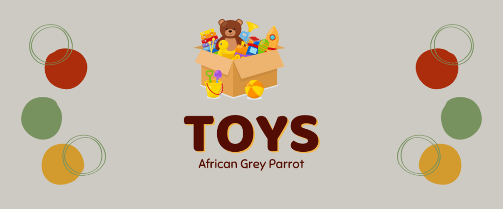 African-Grey-Parrot-toys